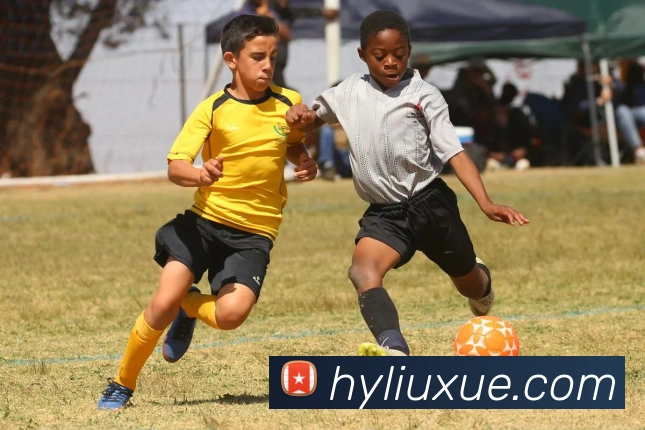 世界杯官方入口平台生态图